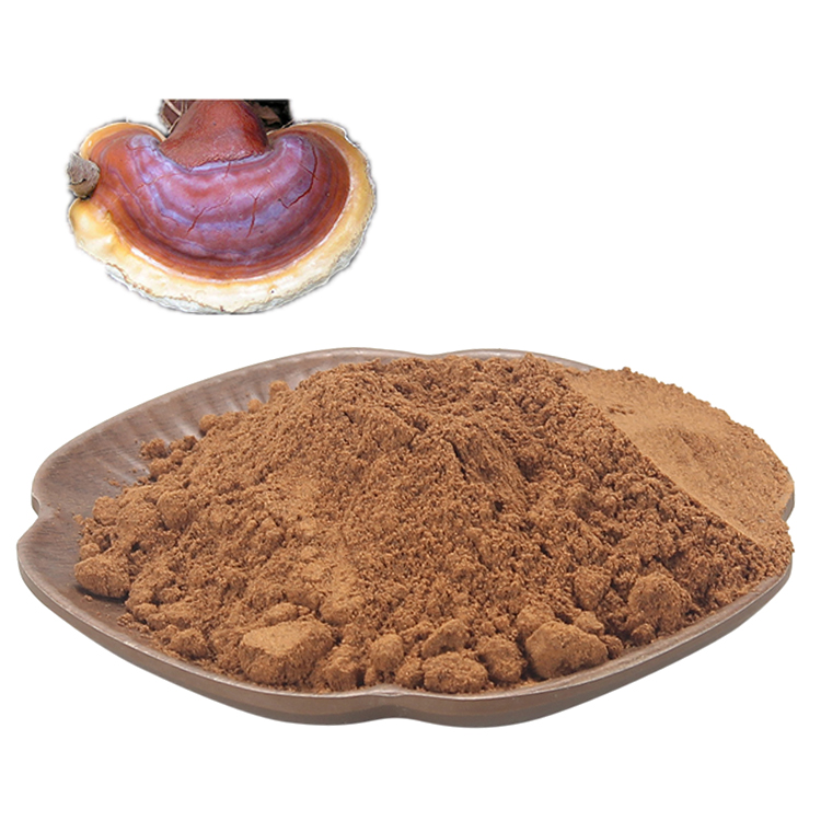 What Are the Side Effects of Organic Ganoderma Extract?